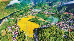 以科技立异引领现代农业发