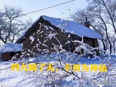 今天进四九白叟言“四九好天一年