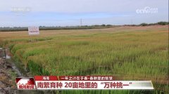 “定制养分”促丰收、一块屏幕“管”万