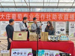 淮北杜集区：“国企联村”激活现代农业